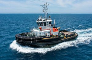 Cyatea remorqueur - tugboat